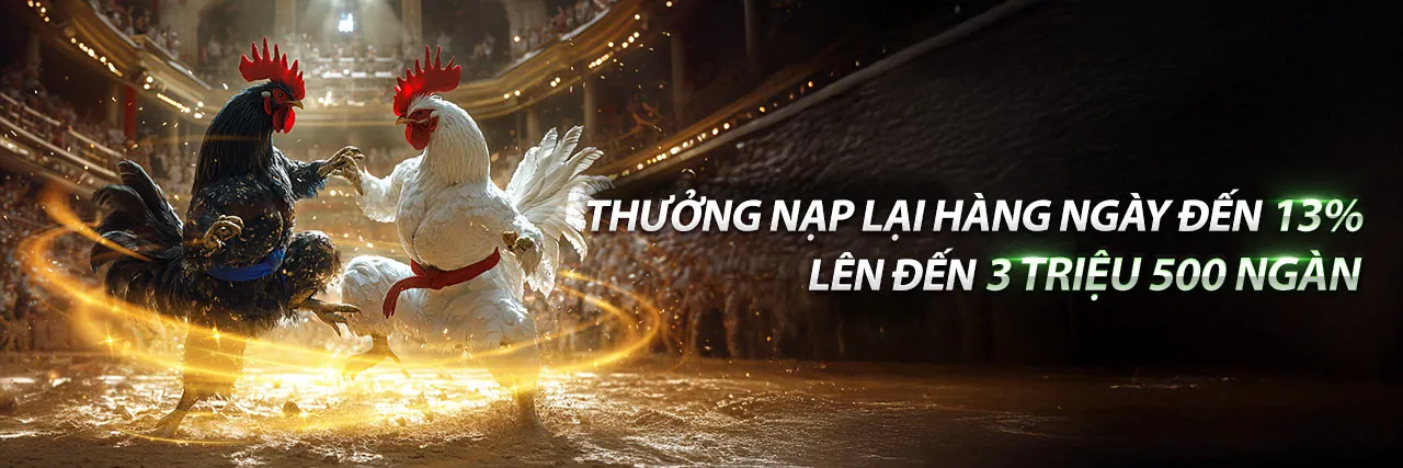 Đá gà trực tuyến kịch tính