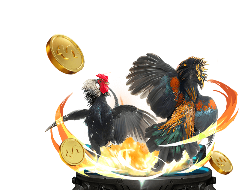 Hình ảnh các trò chơi khác như đá gà tại 79king.