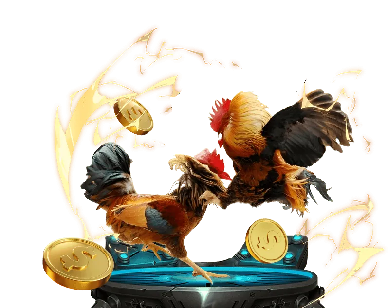 Đá gà trực tuyến 79king tại HI88